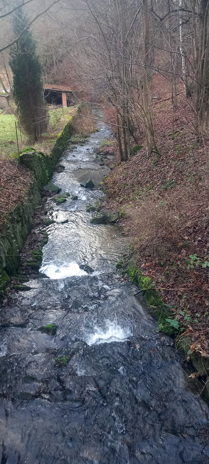 wasser-1