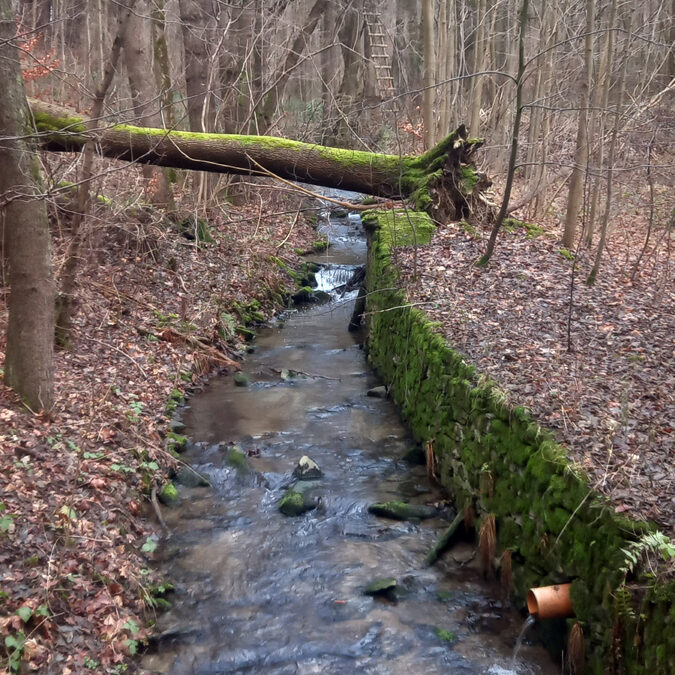 Kulturelle Gemeinsamkeiten