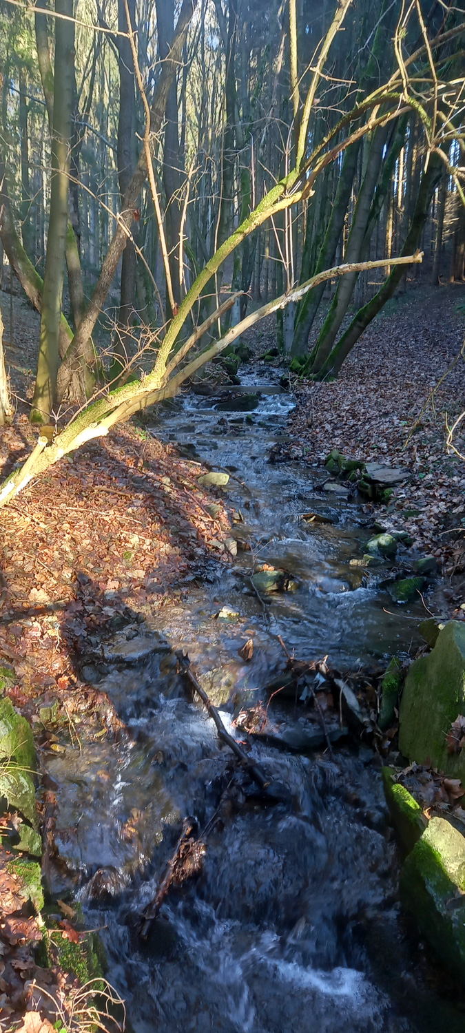 wasser-3