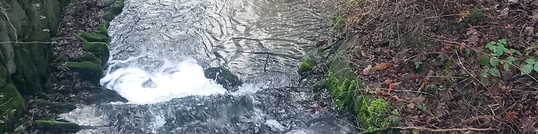 20241220_093824-pano